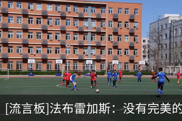 [流言板]法布雷加斯：没有完美的战术，巴萨巴黎拜仁也会给对手机会